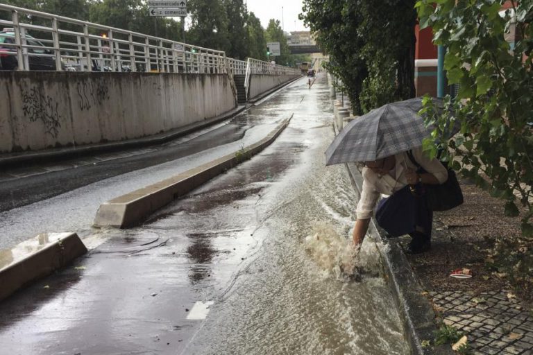 PROTEÇÃO CIVIL ALERTA PARA CHEIAS E QUEDAS DE ÁRVORES DEVIDO À CHUVA, NEVE E VENTO