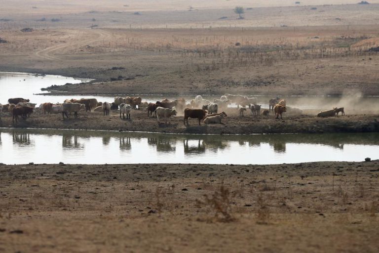 APROVADAS 1.591 CANDIDATURAS DE 26 ME PARA MINIMIZAR EFEITOS DA SECA NA AGROPECUÁRIA