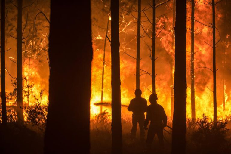 PORTUGAL PARTICIPA EM PROJETO EUROPEU DE DETEÇÃO REMOTA DE FOGOS FLORESTAIS