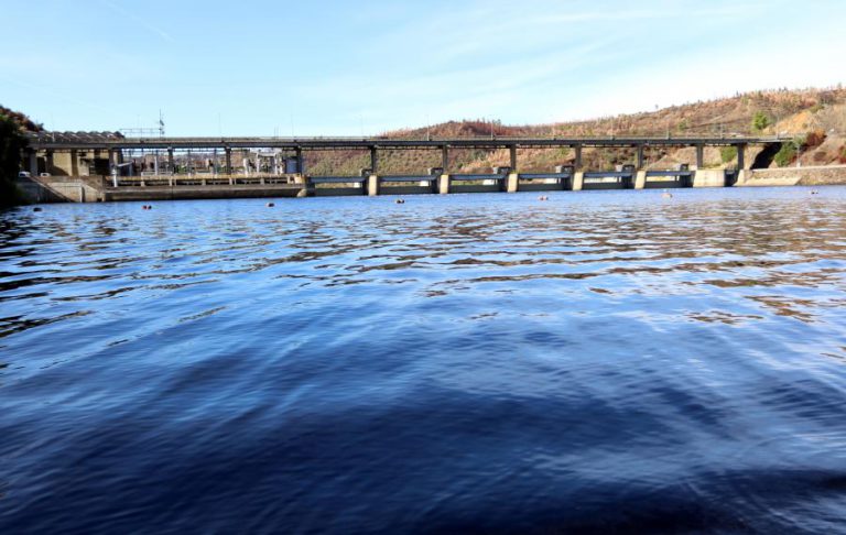AMBIENTALISTAS ATRIBUEM LIMPEZA DO TEJO A ÁGUAS VINDAS DE ESPANHA