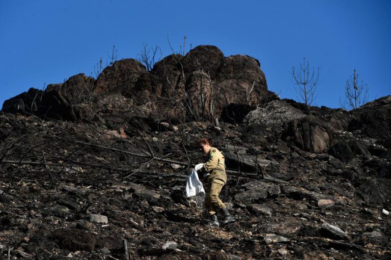 CINCO DETIDOS EM BRAGANÇA E VISEU POR QUEIMADAS QUE VIRARAM INCÊNDIOS
