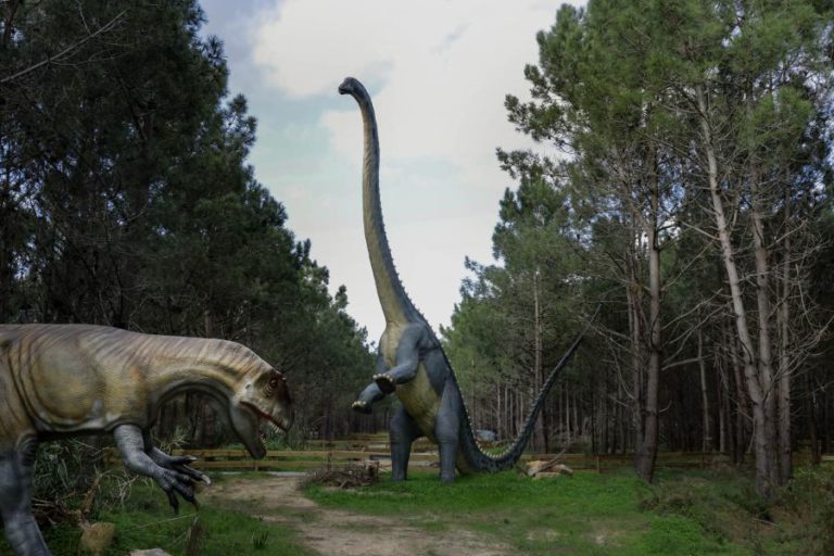 DINO PARQUE DA LOURINHÃ À ESPERA DE MAIS DE 200 MIL VISITANTES NO PRIMEIRO ANO
