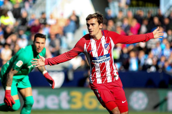 23681679.jpg