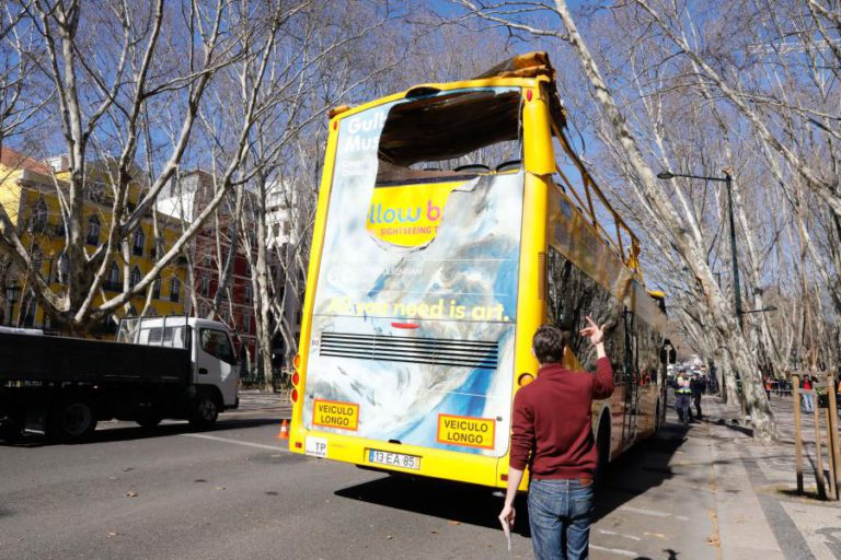 CIRCULAÇÃO RESTABELECIDA NA AVENIDA DA LIBERDADE APÓS CORTE DE ÁRVORE