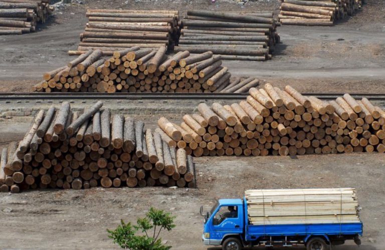 AUTORIDADES MOÇAMBICANAS APREENDEM 75 CONTENTORES COM MADEIRA NO CENTRO DO PAÍS