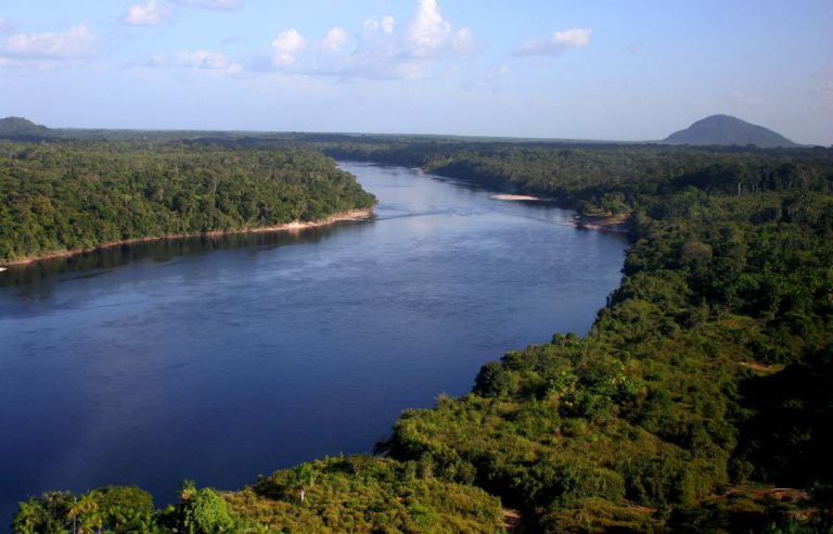 FLORESTA DA AMAZÓNIA APROXIMA-SE PERIGOSAMENTE DE UM PONTO DE “NÃO RETORNO”- ONU