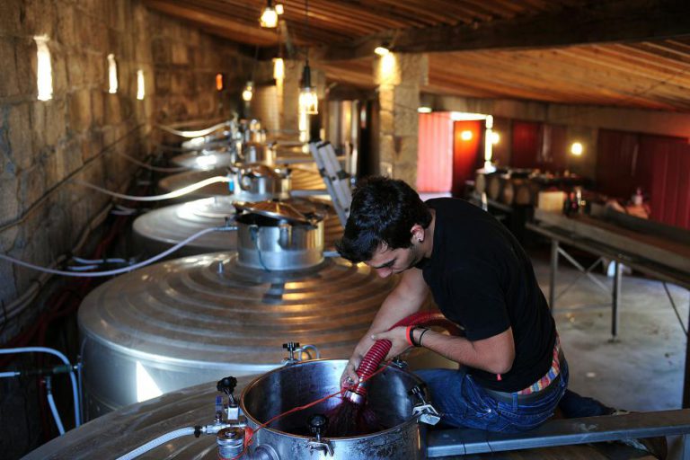DESPERDÍCIOS DA PRODUÇÃO DE VINHO PODEM SER APROVEITADOS EM VEZ SEREM FONTE DE POLUIÇÃO