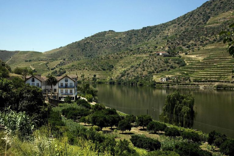 PRODUTORES DO DOURO SUPERIOR RECLAMAM AJUDAS AO GOVERNO DEVIDO AO MAU TEMPO