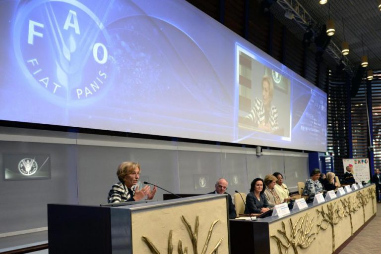 FAO TEM NOVO REPRESENTANTE EM MOÇAMBIQUE