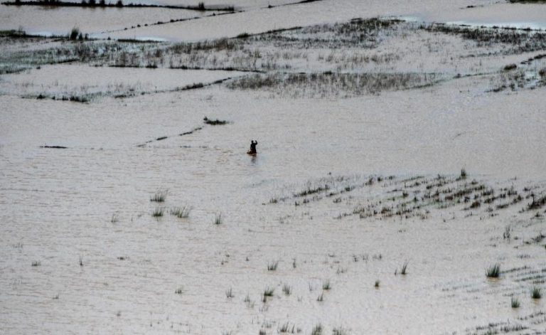 MOÇAMBIQUE LEVANTA ALERTA PARA CHEIAS E INUNDAÇÕES NO NORTE E CENTRO DO PAÍS