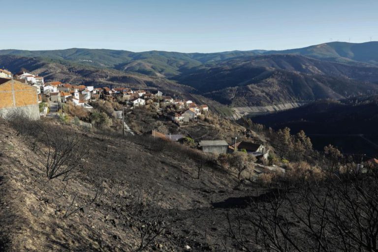 MINISTÉRIO PAGA RESTANTES 13,3 ME A AGRICULTORES AFETADOS PELOS INCÊNDIOS