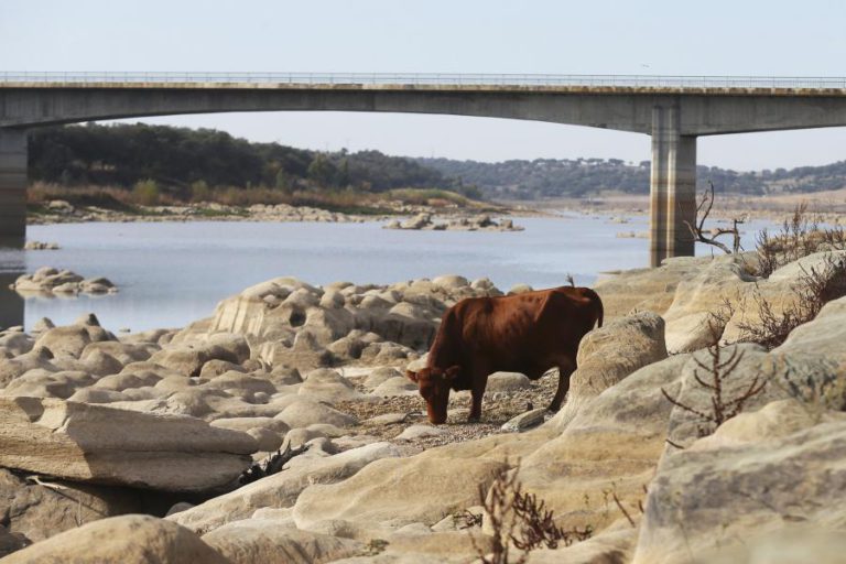 AGRICULTORES DO BAIXO ALENTEJO RECLAMAM MEDIDAS EXCECIONAIS E IMEDIATAS DEVIDO À SECA