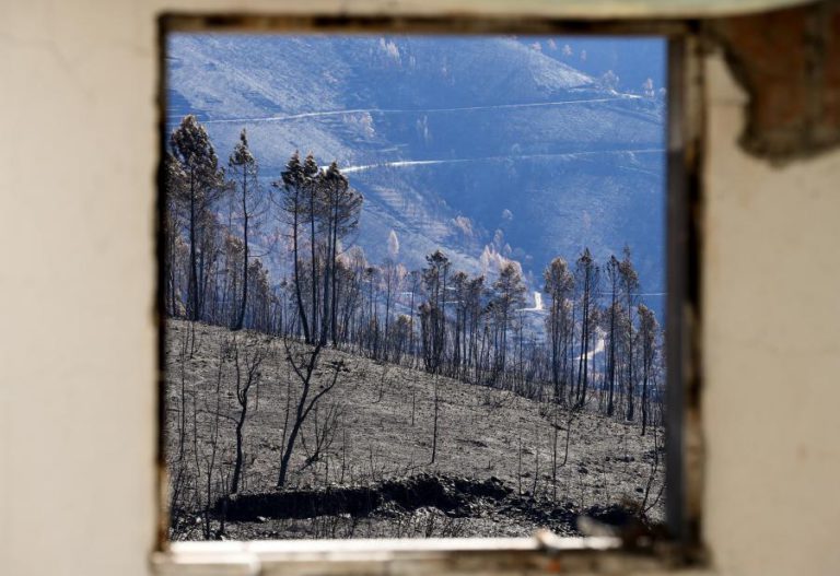 ESPECIALISTA DEFENDE EDUCAÇÃO E GESTÃO DA VEGETAÇÃO PARA PREVENÇÃO EFICAZ DE FOGOS