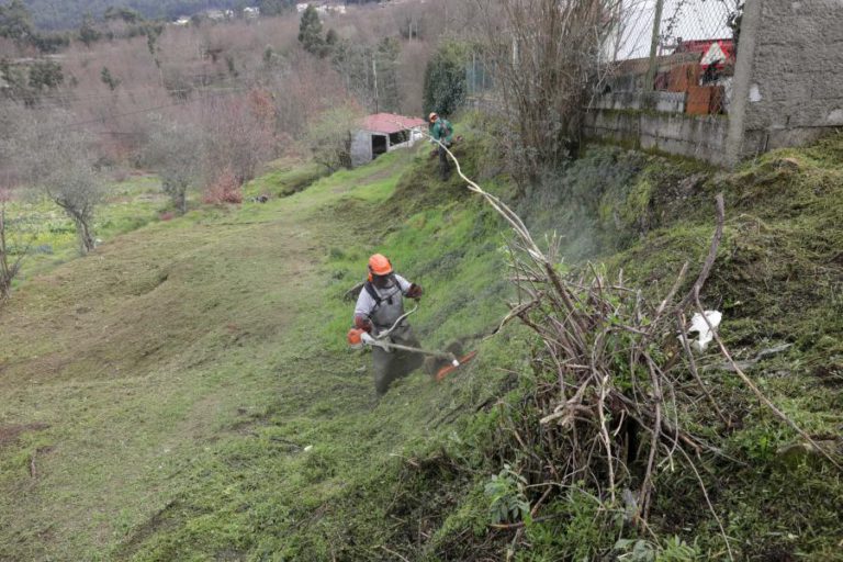 ARGANIL PRECISARIA DE 500 SAPADORES PARA CUMPRIR LEI DA LIMPEZA FLORESTAL