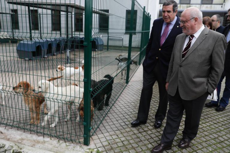 MINISTRO DA AGRICULTURA ALERTA PARA UMA ADOÇÃO “RESPONSÁVEL” DOS ANIMAIS DE COMPANHIA