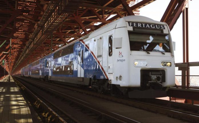 9953238.jpg
