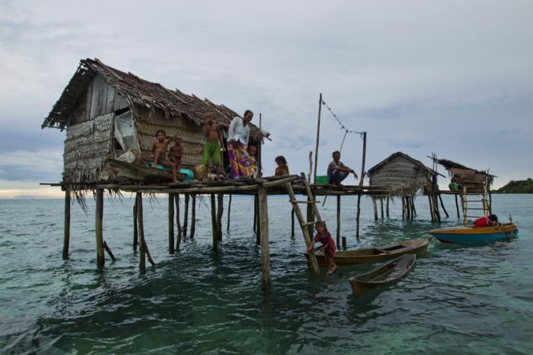 ADAPTAÇÃO GENÉTICA DE ‘CIGANOS DO MAR’ EXPLICA CAPACIDADE INVULGAR DE MERGULHO