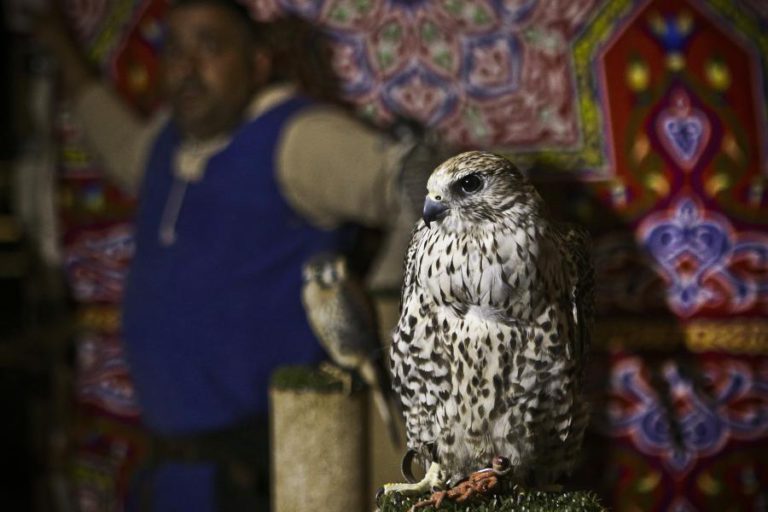 MERCADO MEDIEVAL “REGRESSA” A ALMODÔVAR APÓS TRÊS ANOS DE INTERREGNO