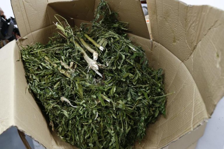 DETENÇÕES POR TRÁFICO E CONSUMO DE DROGA AUMENTARAM 11% EM MOÇAMBIQUE – GOVERNO