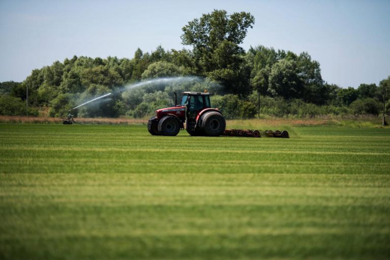 TRABALHADORES DA AGRICULTURA GANHAVAM EM 2016 MENOS 22% DO QUE RESTANTES FUNCIONÁRIOS