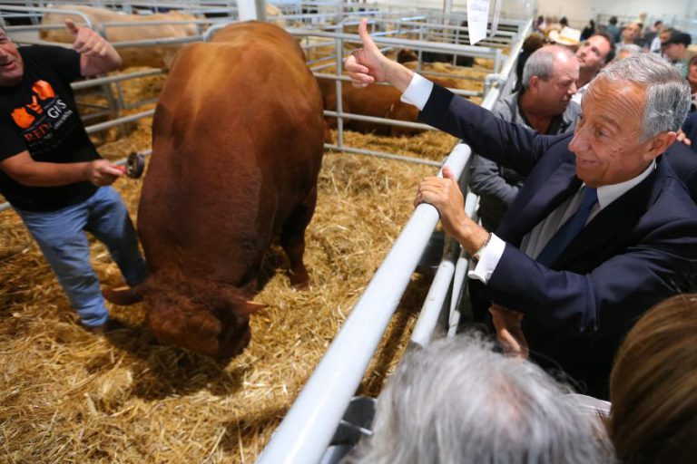 OVIBEJA ABRE HOJE PARA CELEBRAR 35 ANOS A MOSTRAR “TODO O ALENTEJO DESTE MUNDO”