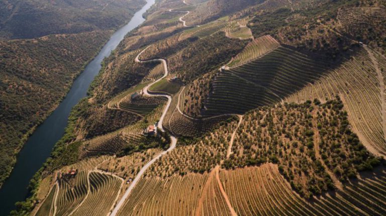 VIAGEM PELOS 897 QUILÓMETROS DE DOURO DÁ ORIGEM A NOVAS MÚSICAS E A DOCUMENTÁRIO