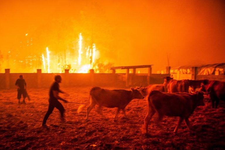 INCÊNDIOS: ALDEIAS VÃO TER “OFICIAL DE SEGURANÇA”