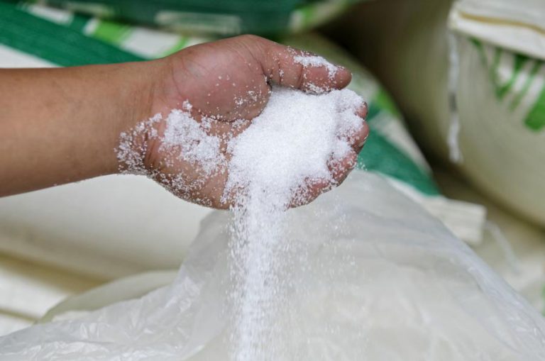BIOCOM CHEGA ESTE ANO ÀS 100.000 TONELADAS DE AÇÚCAR ‘MADE IN’ EM ANGOLA