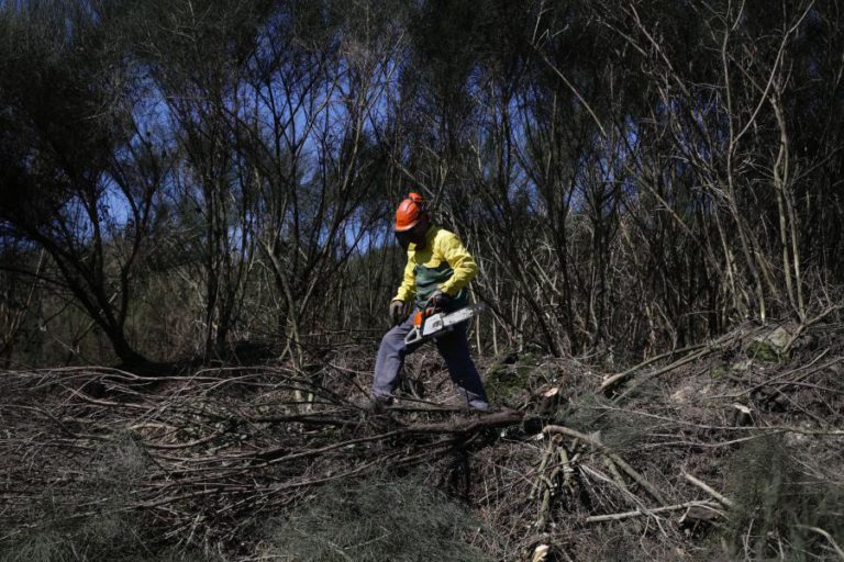 LINHA DE CRÉDITO PARA MUNICÍPIOS LIMPAREM TERRENOS PUBLICADA HOJE