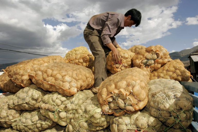 MISSÃO ESPACIAL CHINESA VAI TENTAR CULTIVAR BATATAS NA LUA