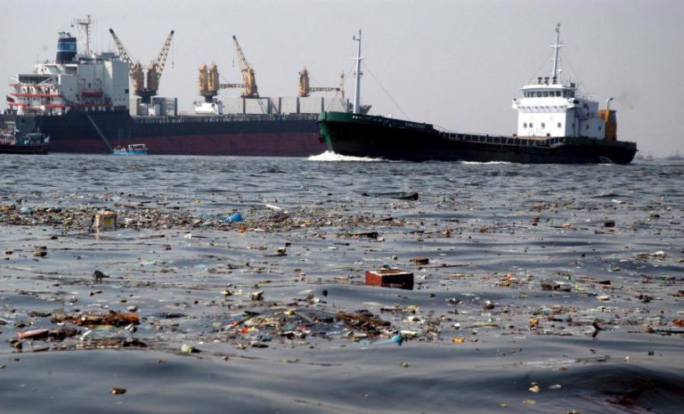 DIA INTERNACIONAL DA TERRA É ASSINALADO HOJE COM FOCO EM PROBLEMAS AMBIENTAIS