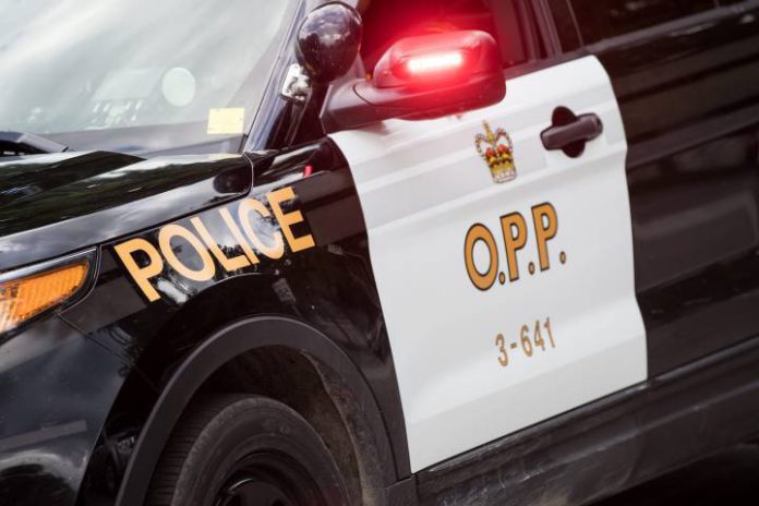 Imagem: GLOBAL NEWS Imagem: GLOBAL NEWS