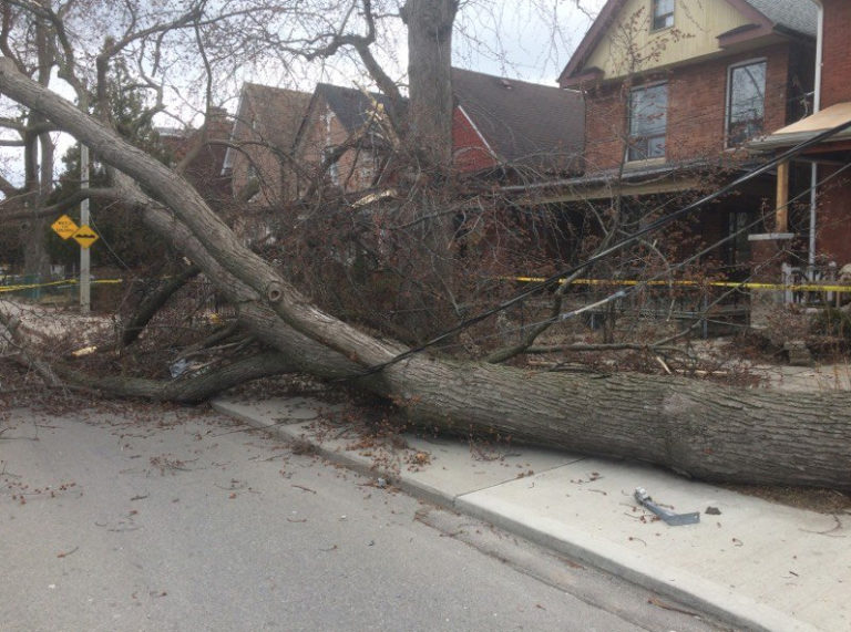 Imagem: TorontoHydro