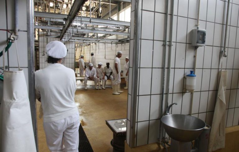 VETERINÁRIOS SUSPENDEM GREVE