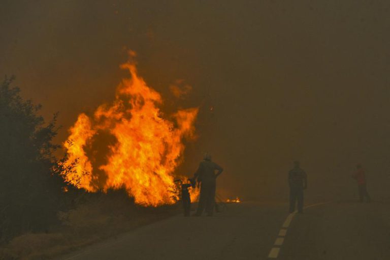 INCÊNDIOS: APOIO PSICOLÓGICO SÓ FOI DADO A 40% DAS PESSOAS QUE SENTIRAM ESSA NECESSIDADE