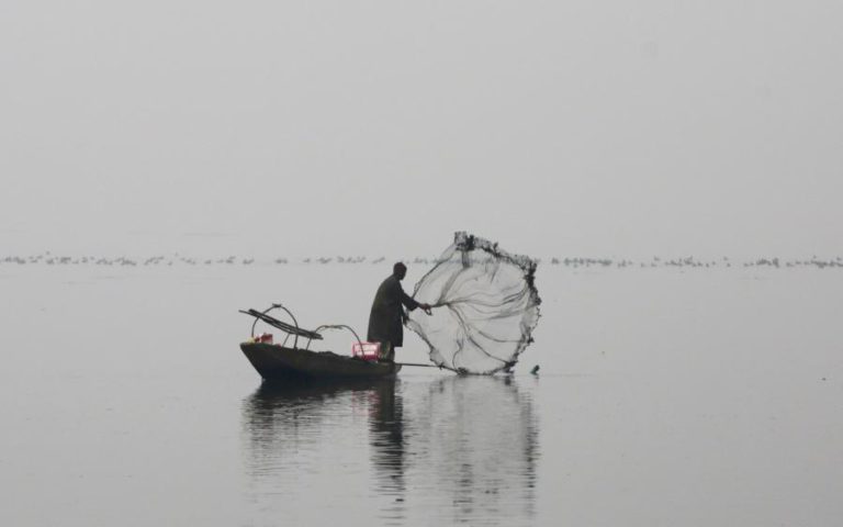 GUINÉ-BISSAU ANUNCIA REGRESSO ÀS NEGOCIAÇÕES DO ACORDO DE PESCA COM UE