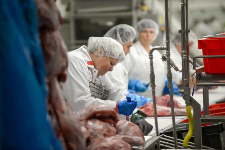TRABALHADORES DA CARNES NOBRE, EM RIO MAIOR, INICIARAM HOJE SEMANA DE GREVES