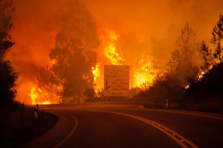 VÍTIMAS DOS FOGOS DE JUNHO E OUTUBRO COM ISENÇÃO DE TAXAS MODERADORAS NO SNS