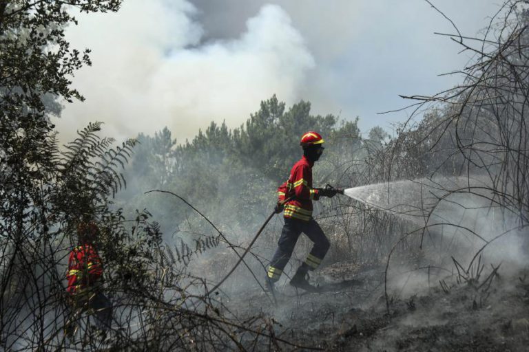 MEIOS DE COMBATE A INCÊNDIOS REFORÇADOS A PARTIR DE SEXTA-FEIRA