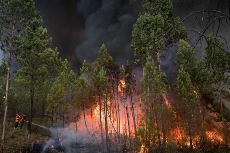 CONCELHOS DE BRAGANÇA E CASTRO MARIM EM RISCO ELEVADO DE INCÊNDIO