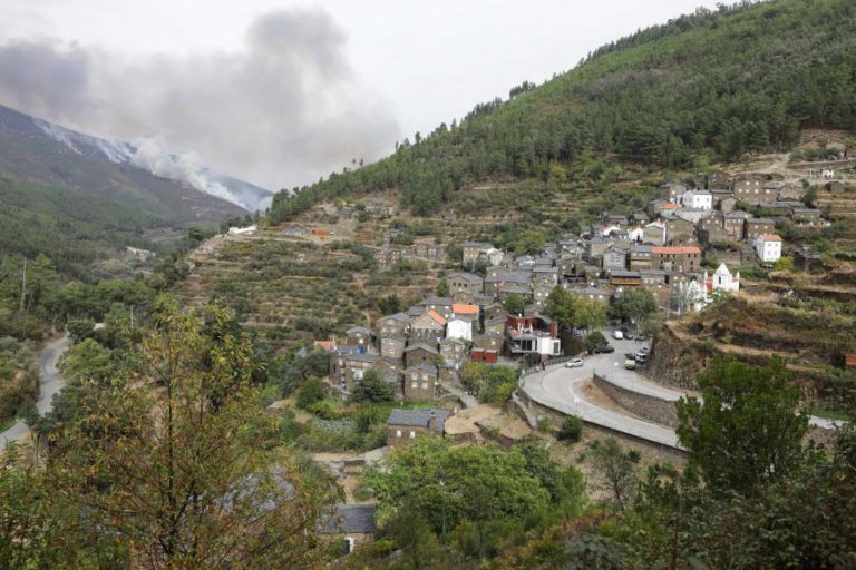 PROCURA DE EMPRESAS PARA LIMPAR TERRENOS AUMENTOU CERCA DE 80%