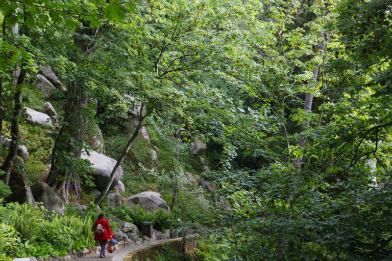 BOMBEIROS RESGATAM TURISTA PERDIDA NO GERÊS