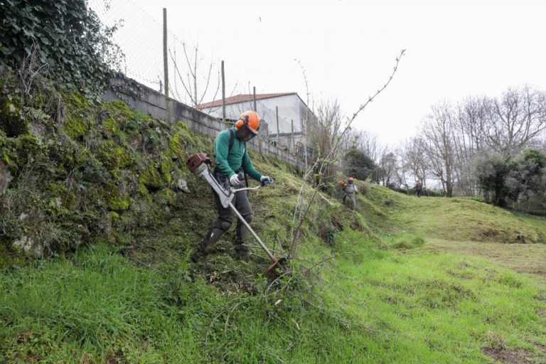 PROPRIETÁRIOS TÊM ATÉ HOJE PARA LIMPAR TERRENOS E EVITAR COIMAS