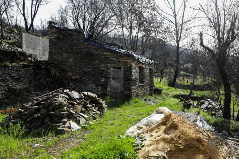 GNR LEVANTOU MAIS DE 800 AUTOS DE CONTRAORDENAÇÃO POR FALTA DE LIMPEZA DE TERRENOS