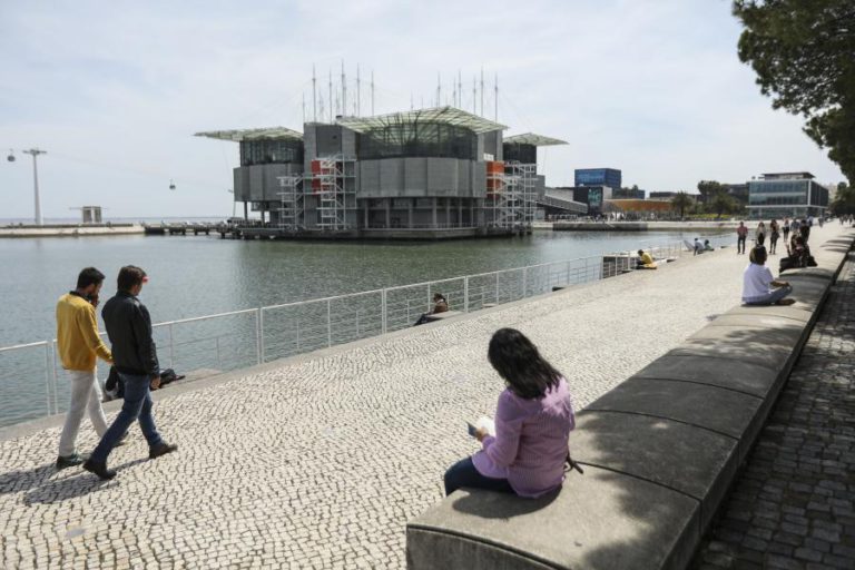 OCEANÁRIO RECEBE DOIS JOVENS MACHOS DE LONTRA-MARINHA RESGATADOS NO ALASCA