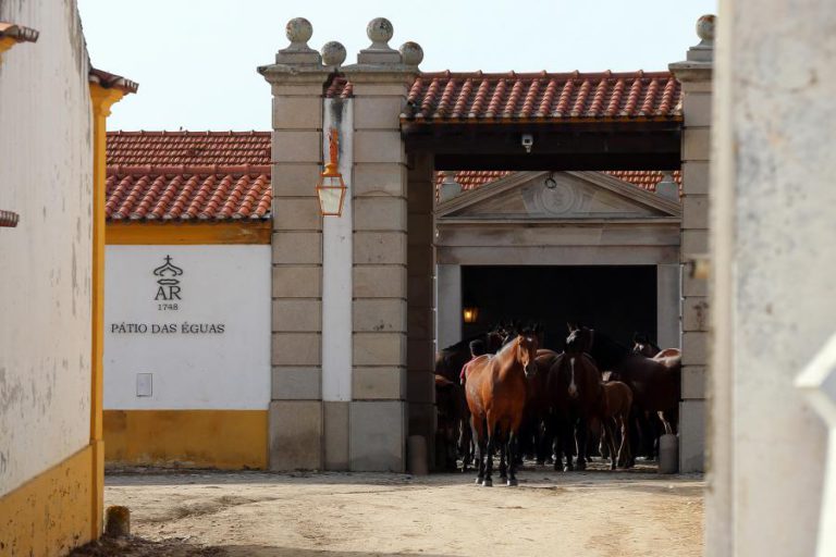 VILA GALÉ LEVANTA CADERNO DE ENCARGOS PARA CONCESSÃO DA COUDELARIA DE ALTER DO CHÃO