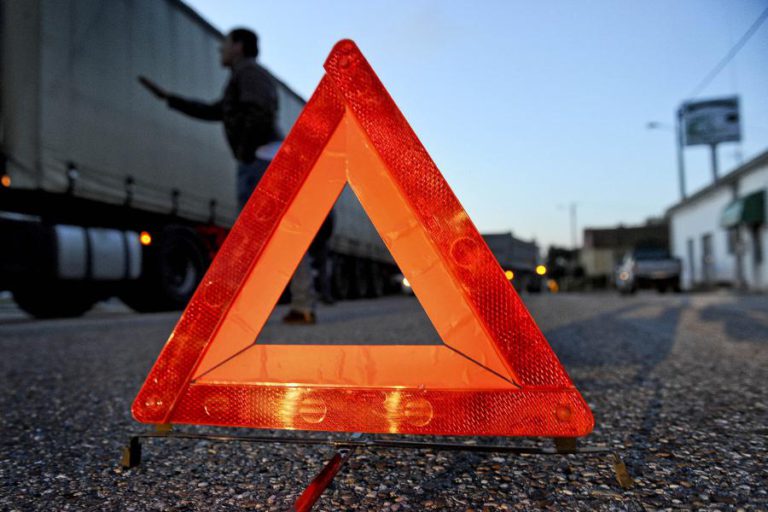 AUTOESTRADA A17 CONTINUA CORTADA MAIS DE 12 HORAS APÓS DESPISTE DE TRANSPORTE DE ANIMAIS