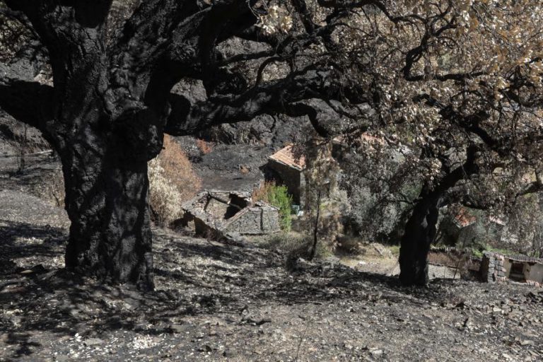 CRUZ VERMELHA ANGARIOU 700 MIL EUROS E APOIOU RECONSTRUÇÃO DE CINCO CASAS NO INCÊNDIO DE PEDRÓGÃO GRANDE