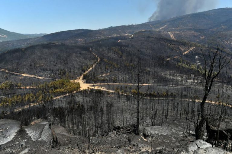 HÁ 970 LIGAÇÕES POR RESTABELECER NAS ZONAS AFETADAS PELOS INCÊNDIOS, DIZ ANACOM