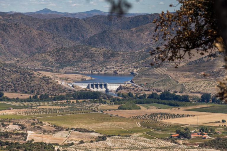 ENTREGUE RELATÓRIO DE CONFORMIDADE AMBIENTAL PARA PROJETO MINEIRO DE MONCORVO